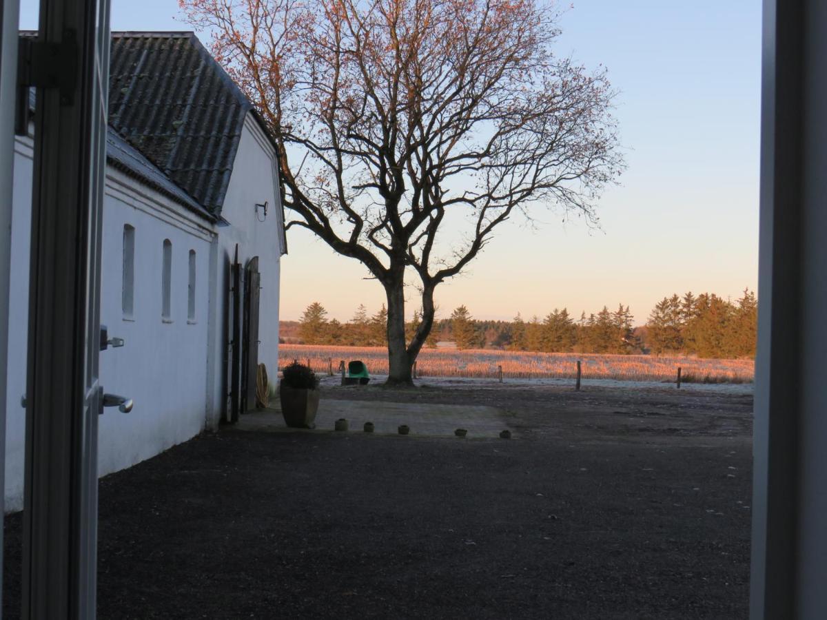 فندق Bogelund Sleep-In Kårup المظهر الخارجي الصورة